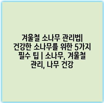 겨울철 소나무 관리법| 건강한 소나무를 위한 5가지 필수 팁 | 소나무, 겨울철 관리, 나무 건강