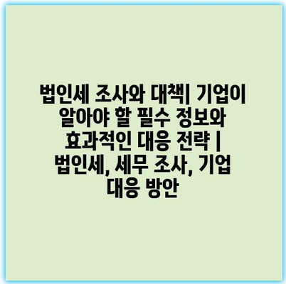 법인세 조사와 대책| 기업이 알아야 할 필수 정보와 효과적인 대응 전략 | 법인세, 세무 조사, 기업 대응 방안
