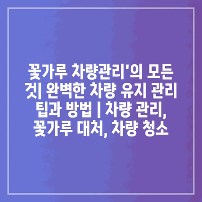 꽃가루 차량관리’의 모든 것| 완벽한 차량 유지 관리 팁과 방법 | 차량 관리, 꽃가루 대처, 차량 청소
